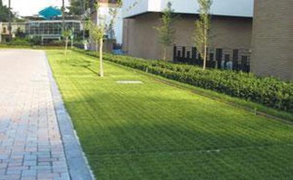 Leiyuan Grass Grid Helps You Build a Green Parking Lot
