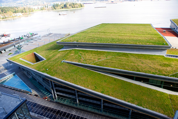 ¿Sistema de techo verde será la tendencia de Greening ambiental?