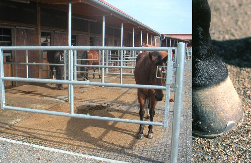Feeding spots Horse Stall Systems