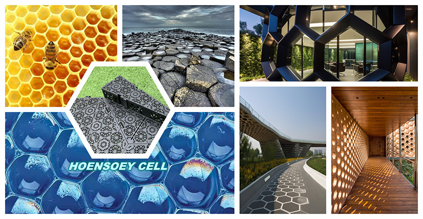 The Power of Hexagonal Design: Understanding HOENSOEY Cells