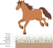 Enhancing Equestrian Grounds - Ultimate Reinforcement and Drainage System