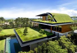 ¿Cuáles son los beneficios ecológicos de la construcción de un techo verde?