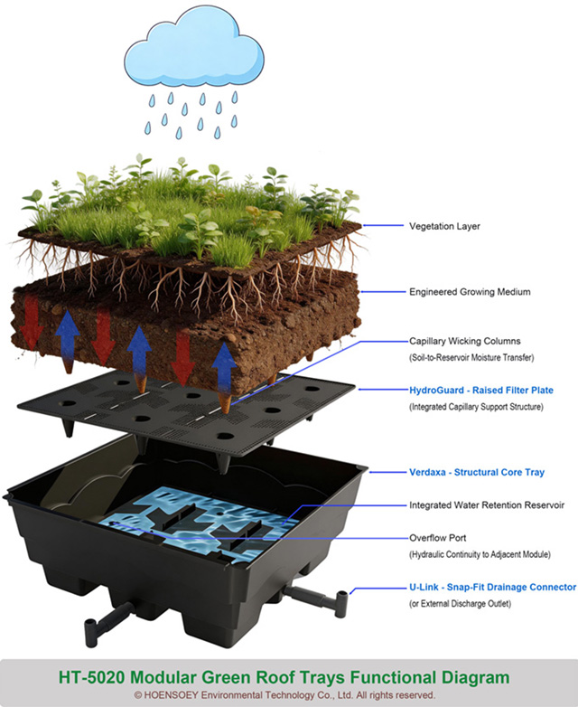 From Bare Roof to Usable Landscape: Designing with 200 mm Green Roof Trays