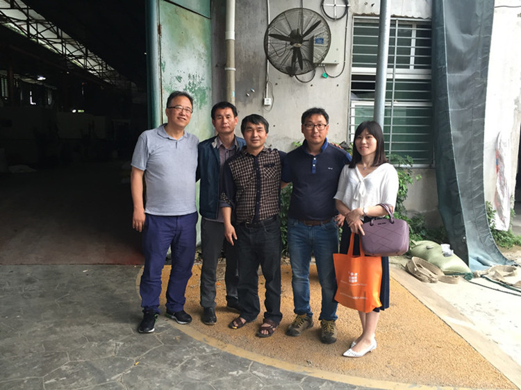 Fábrica de Corea del sur los clientes visitar Leiyuan para red de estabilización de grava